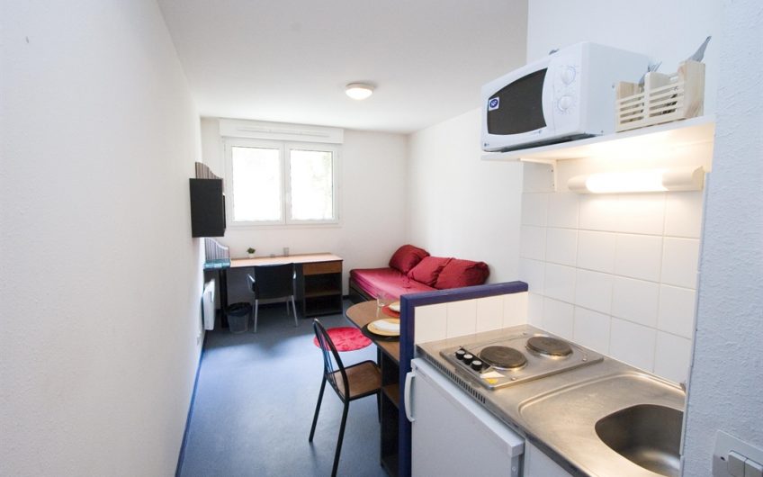 Lille 市中心Résidence Etudiante 步行7分钟到EGC Lille近其他高校